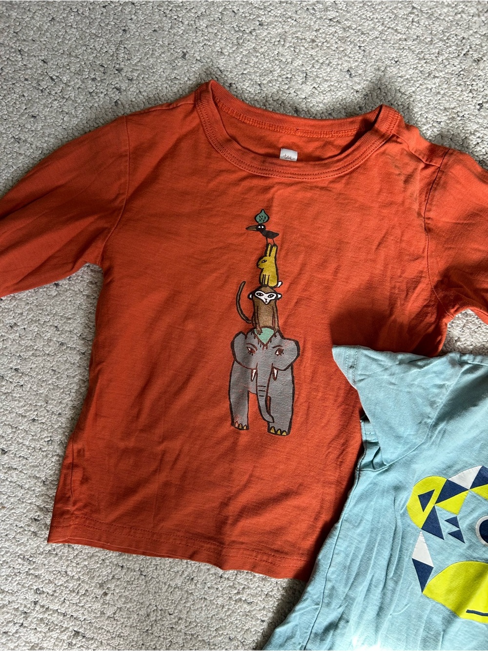 Tea Collection Tee Bundle - Picture 3 of 5